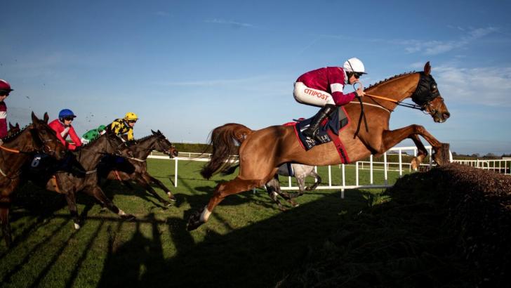 Run Wild Fred Troytown Navan